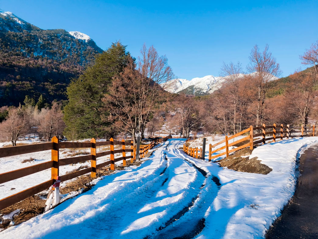 Imagen de 3 Parcelas en Corralco